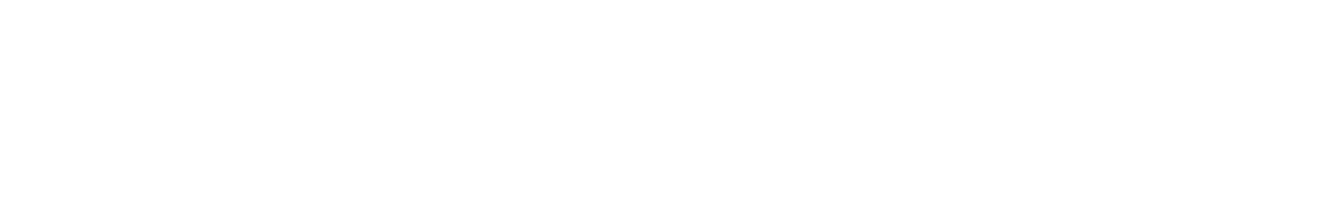 Mini Conference